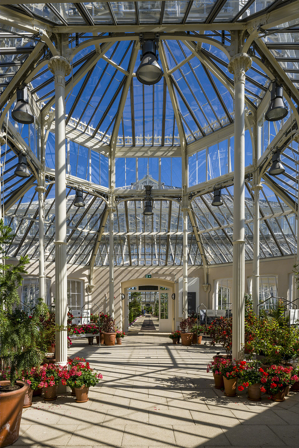 Temperate House(温室)-42