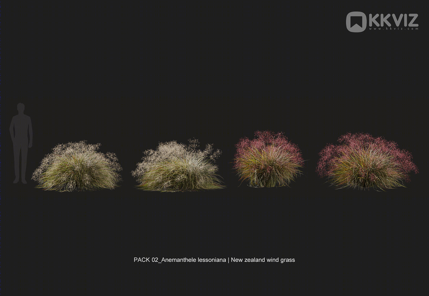 KKVIZ Pack 02 - Grasses 3d Model Collection 提升景观设计真实感-20