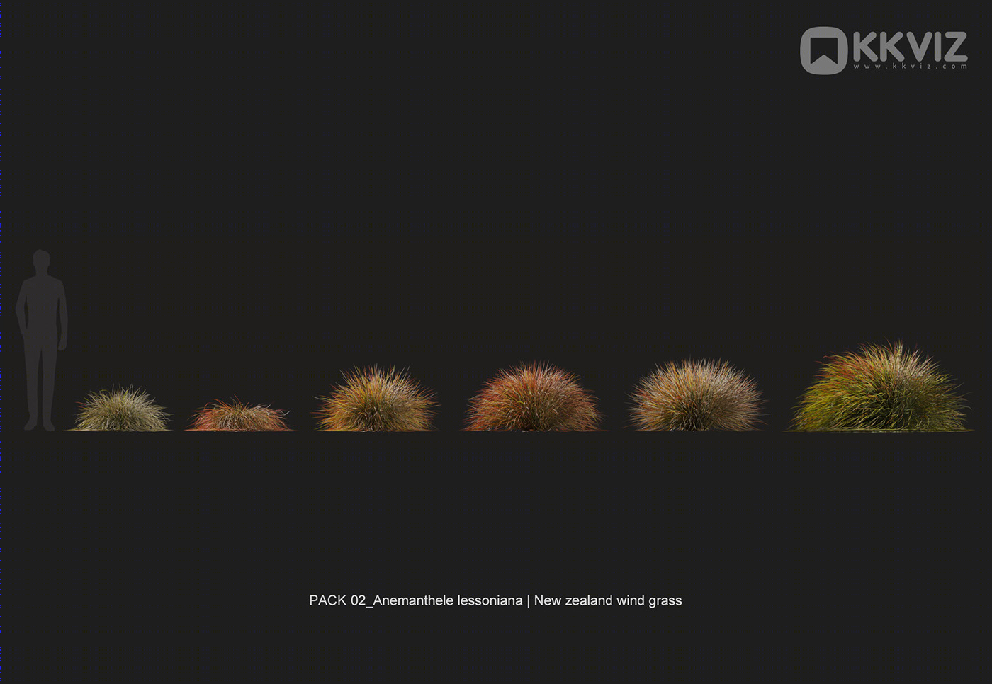 KKVIZ Pack 02 - Grasses 3d Model Collection 提升景观设计真实感-19