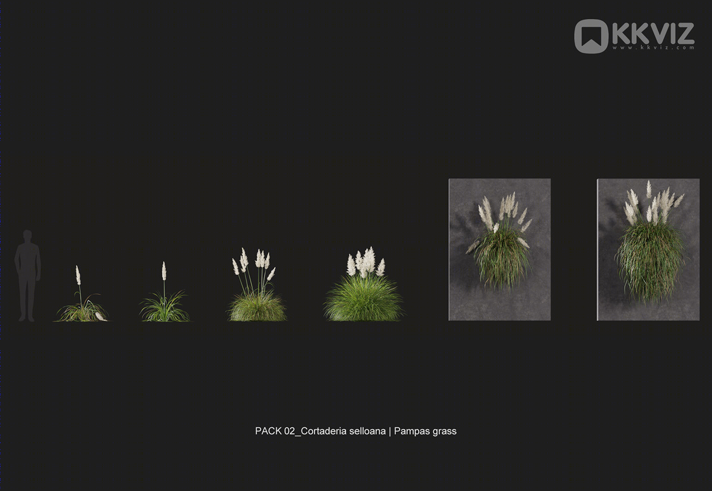 KKVIZ Pack 02 - Grasses 3d Model Collection 提升景观设计真实感-21