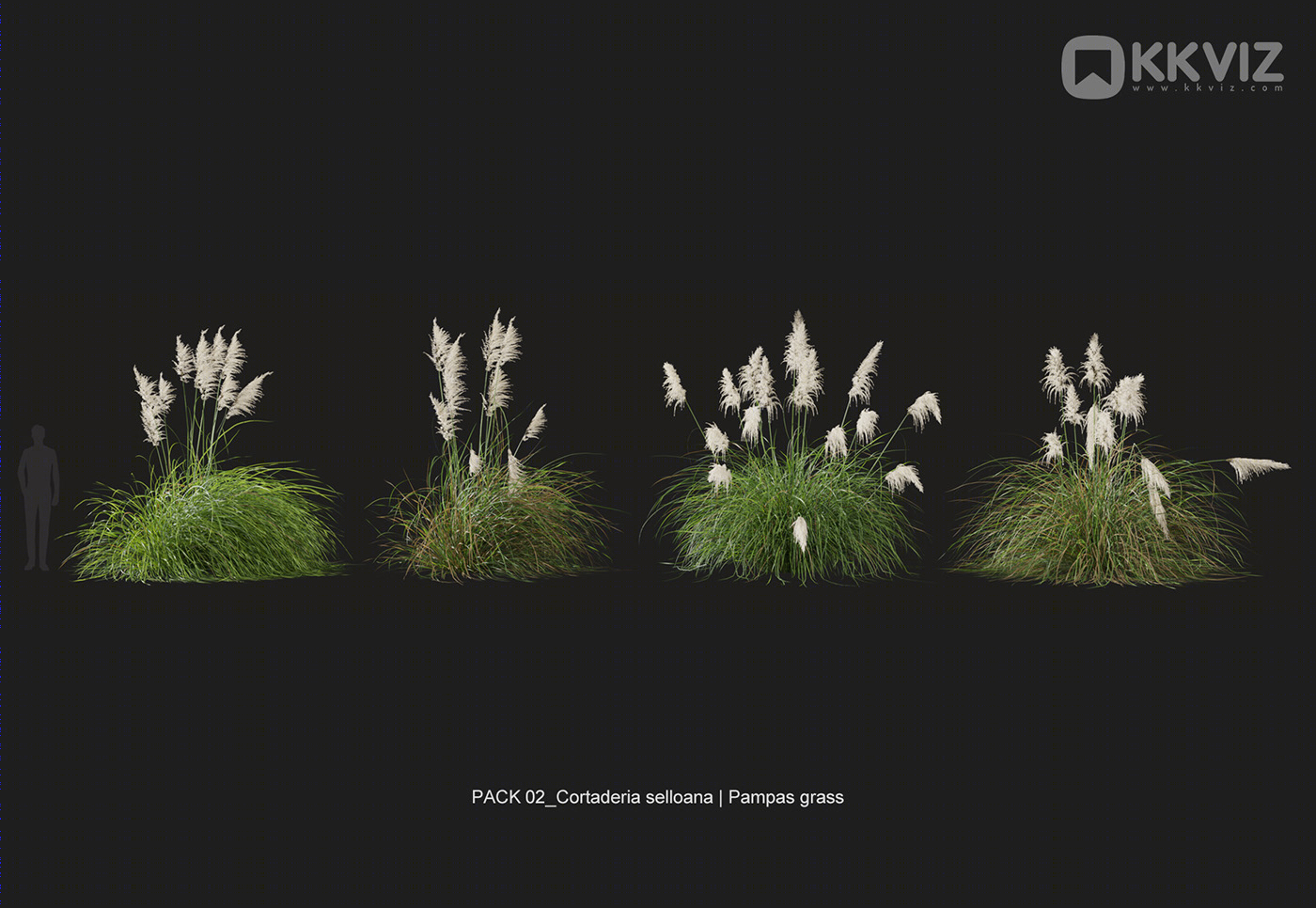 KKVIZ Pack 02 - Grasses 3d Model Collection 提升景观设计真实感-22