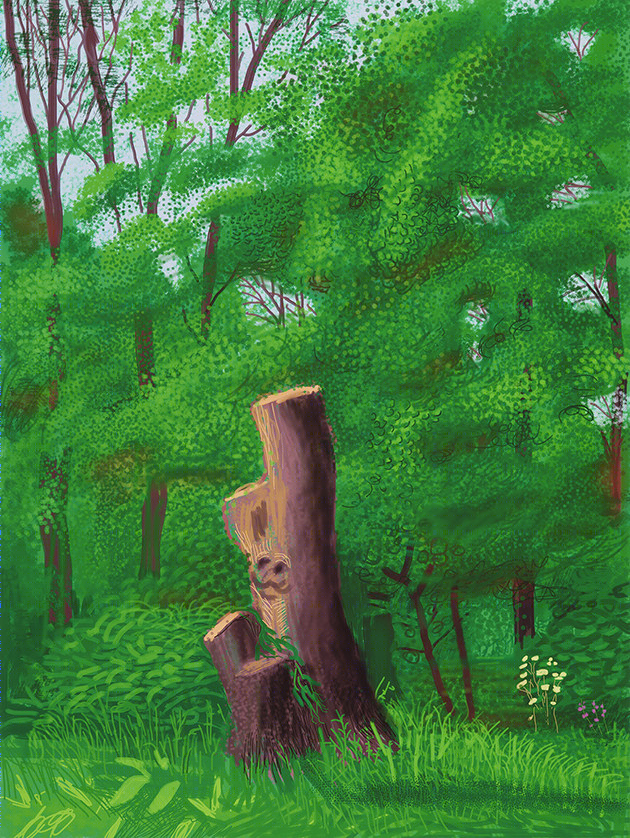 融合自然元素的现代公寓设计-9