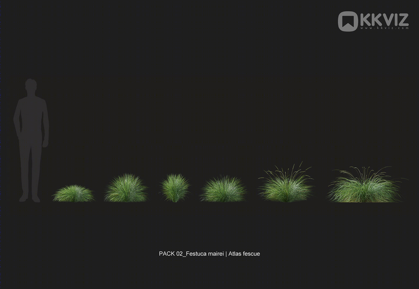 KKVIZ Pack 02 - Grasses 3d Model Collection 提升景观设计真实感-23