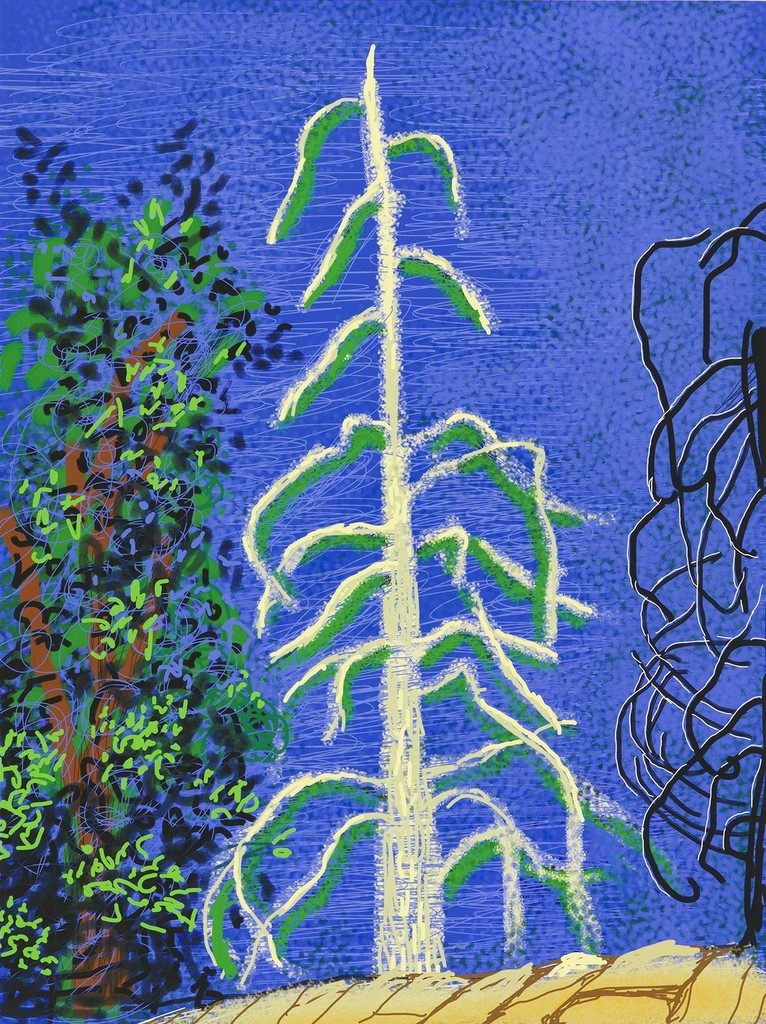 融合自然元素的现代公寓设计-10