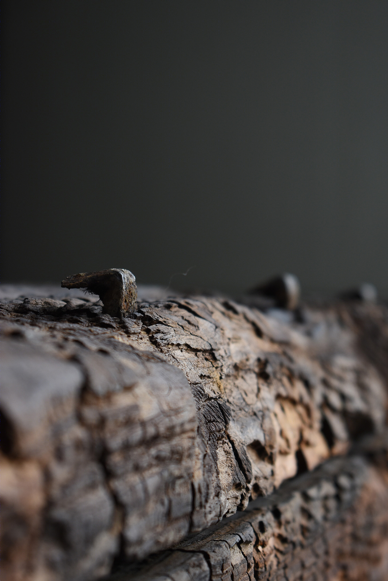 APOLOGIA 日本丨日本千叶丨日本匠人 Masahiro Taguchi-30