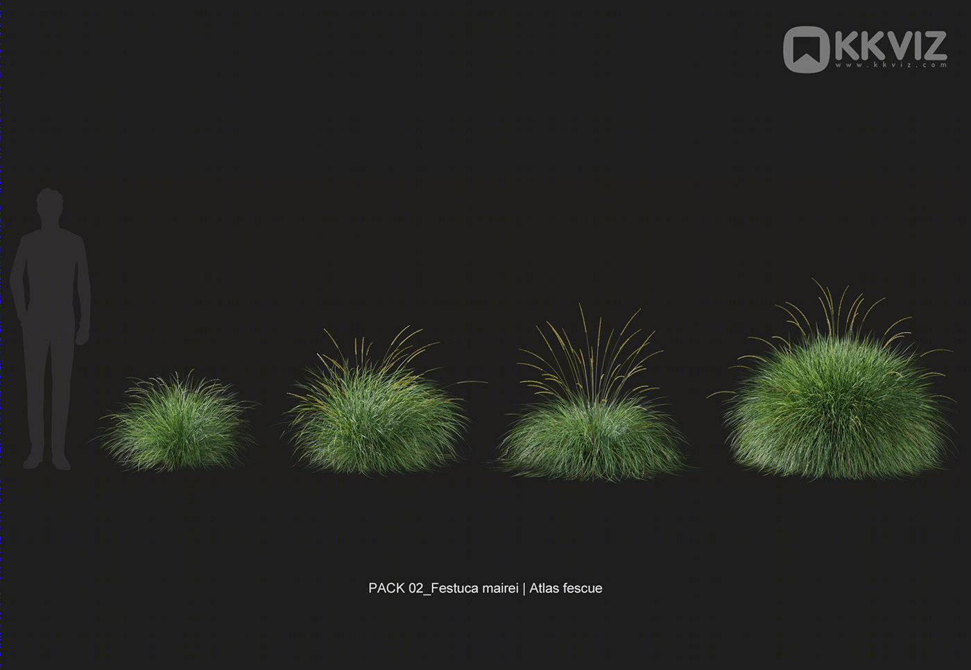 KKVIZ Pack 02 - Grasses 3d Model Collection 提升景观设计真实感-24