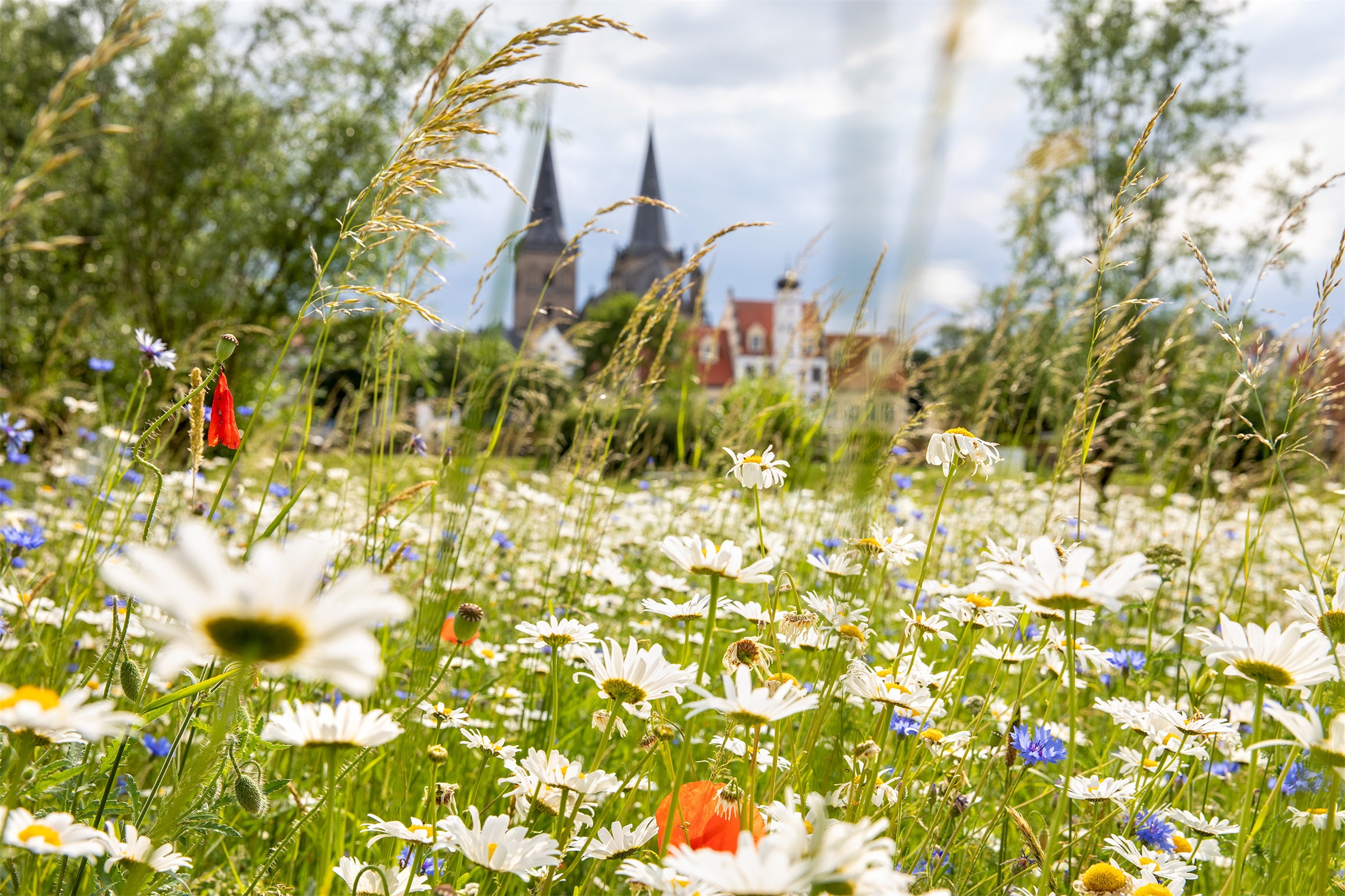 邂逅公园,克桑滕城墙区更新改造-55