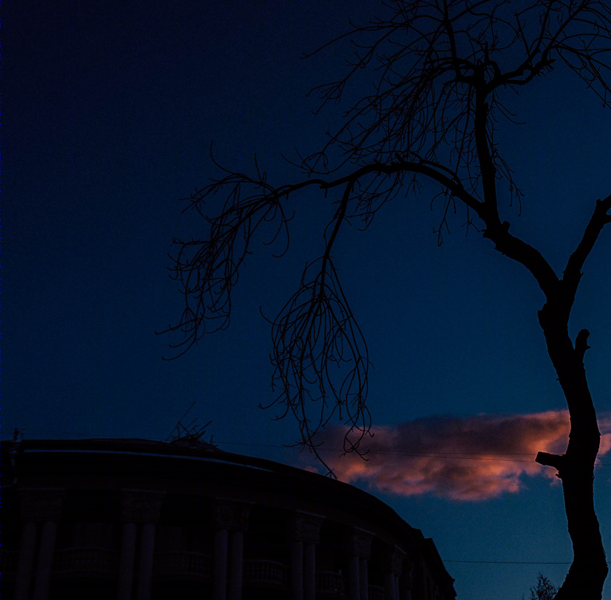 False Color Film Photography-4