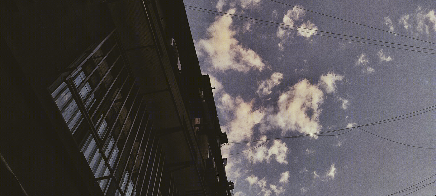 False Color Film Photography-8