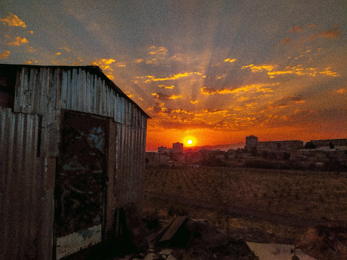 False Color Film Photography-9