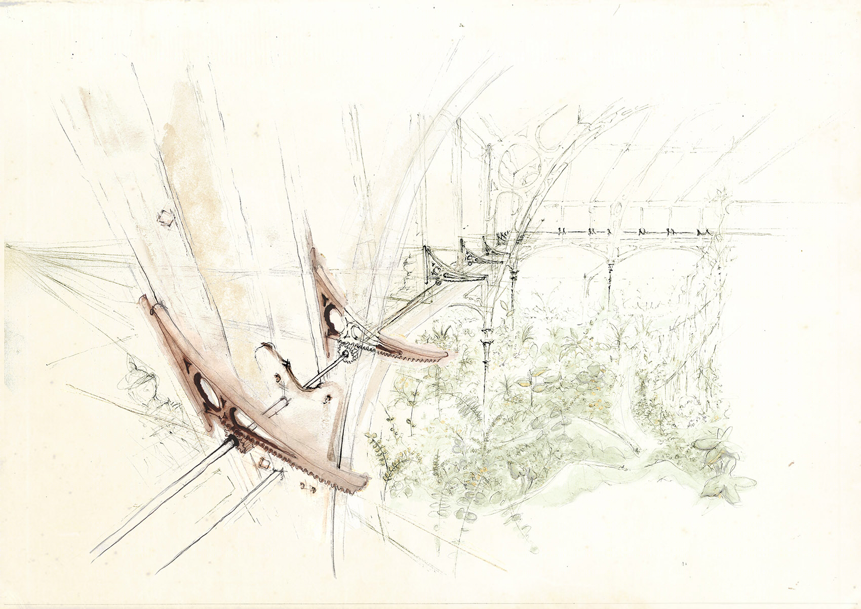 Temperate House(温室)-44