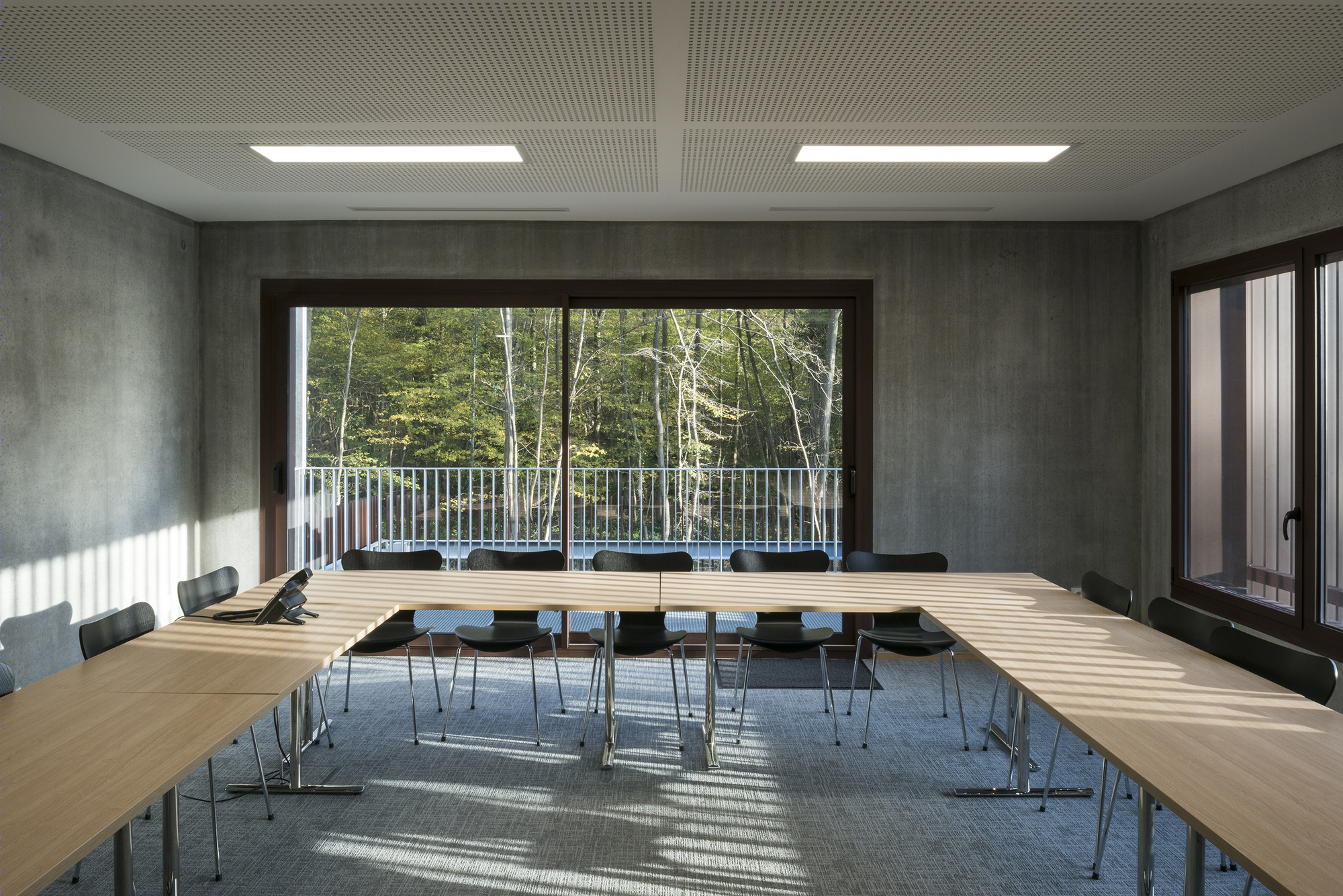 落叶林中的皮肤病实验室-3