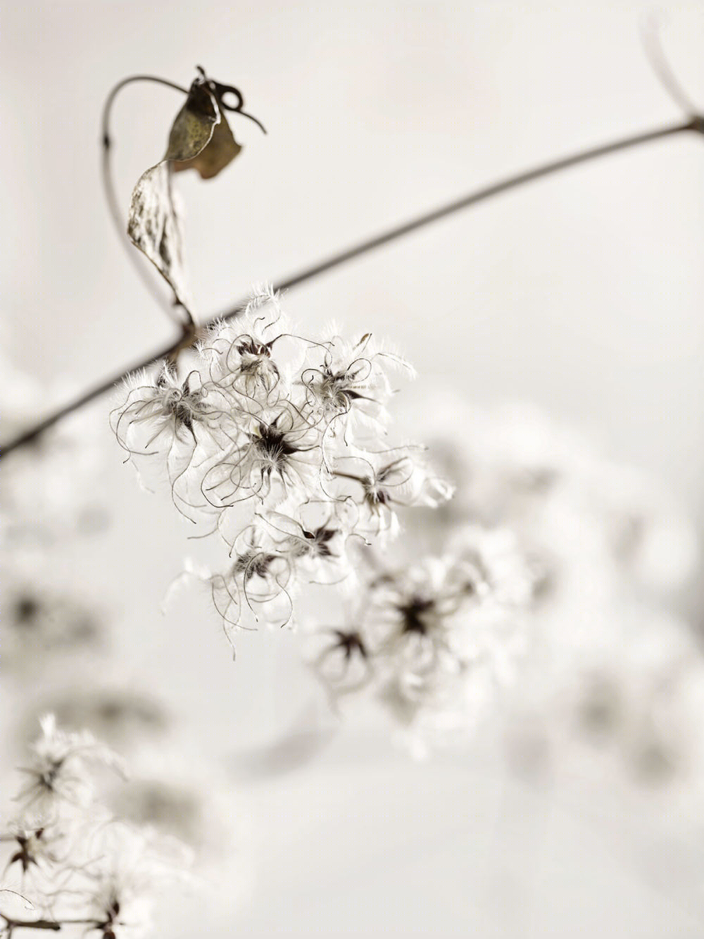 UNA 系列可变花瓶-3