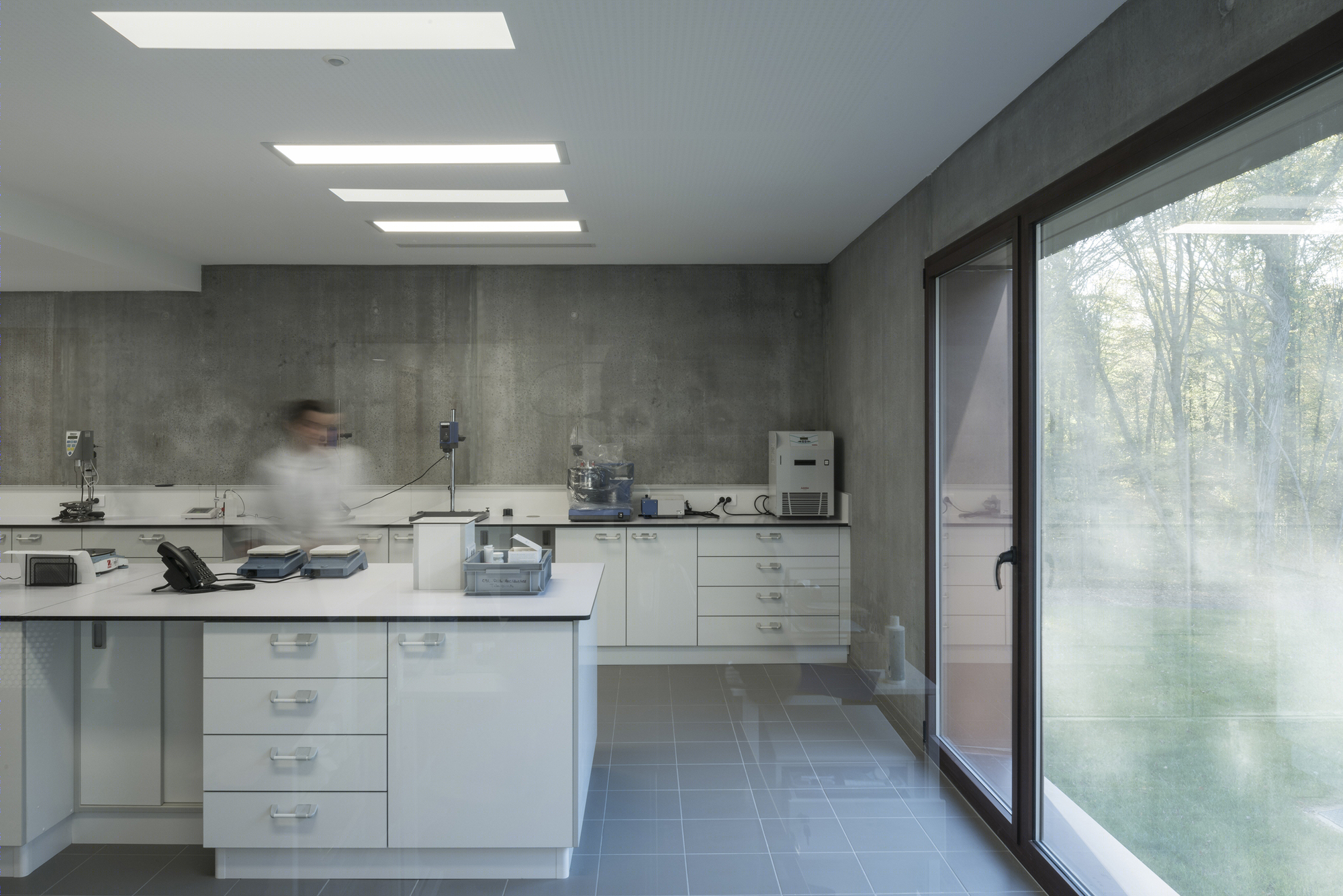 落叶林中的皮肤病实验室-5