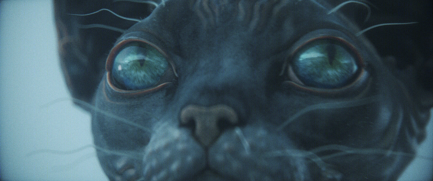 失踪的猫 FRIDAY · 它的奇妙历险与室内设计的魅力丨KEkekekekekek-13