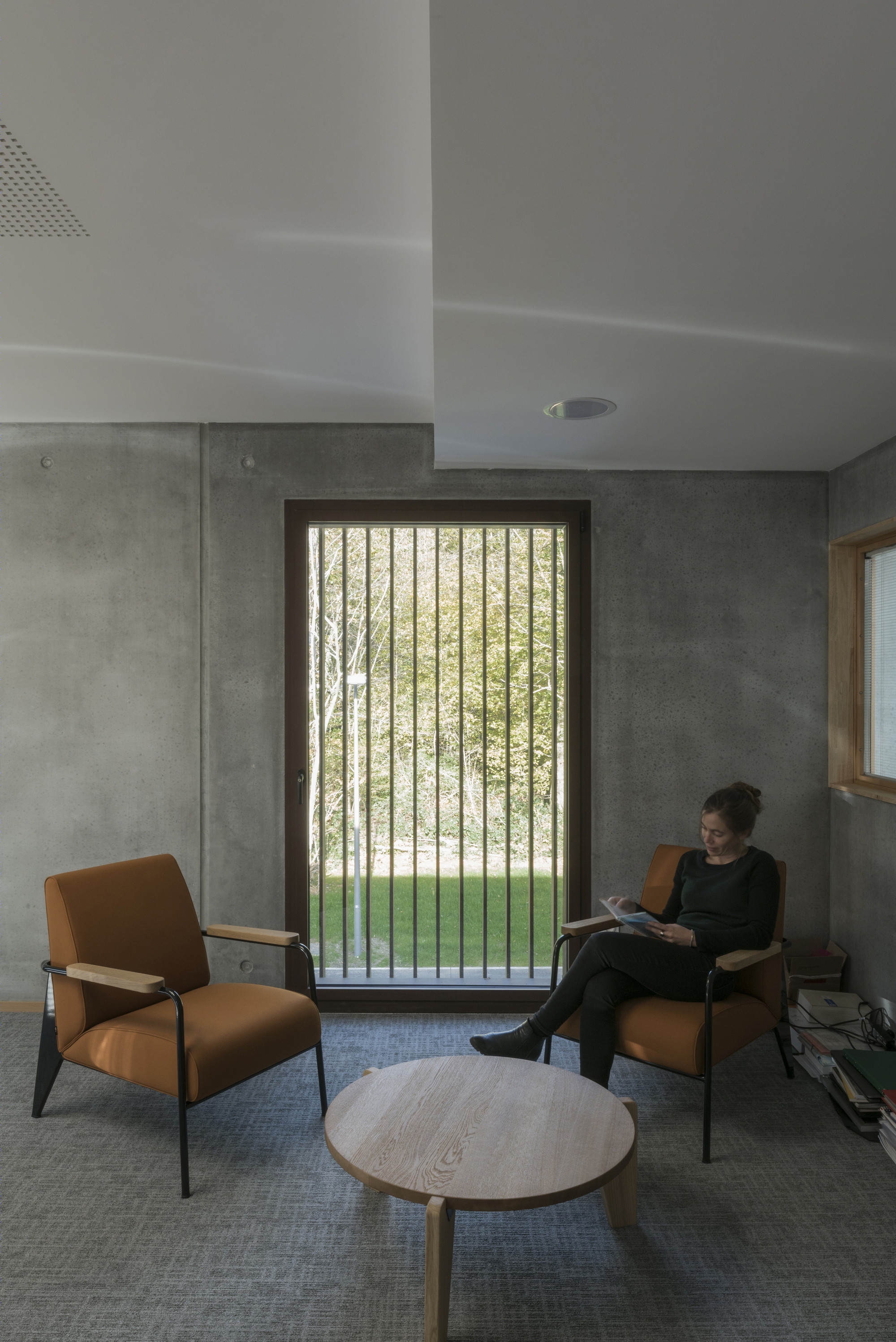 落叶林中的皮肤病实验室-7