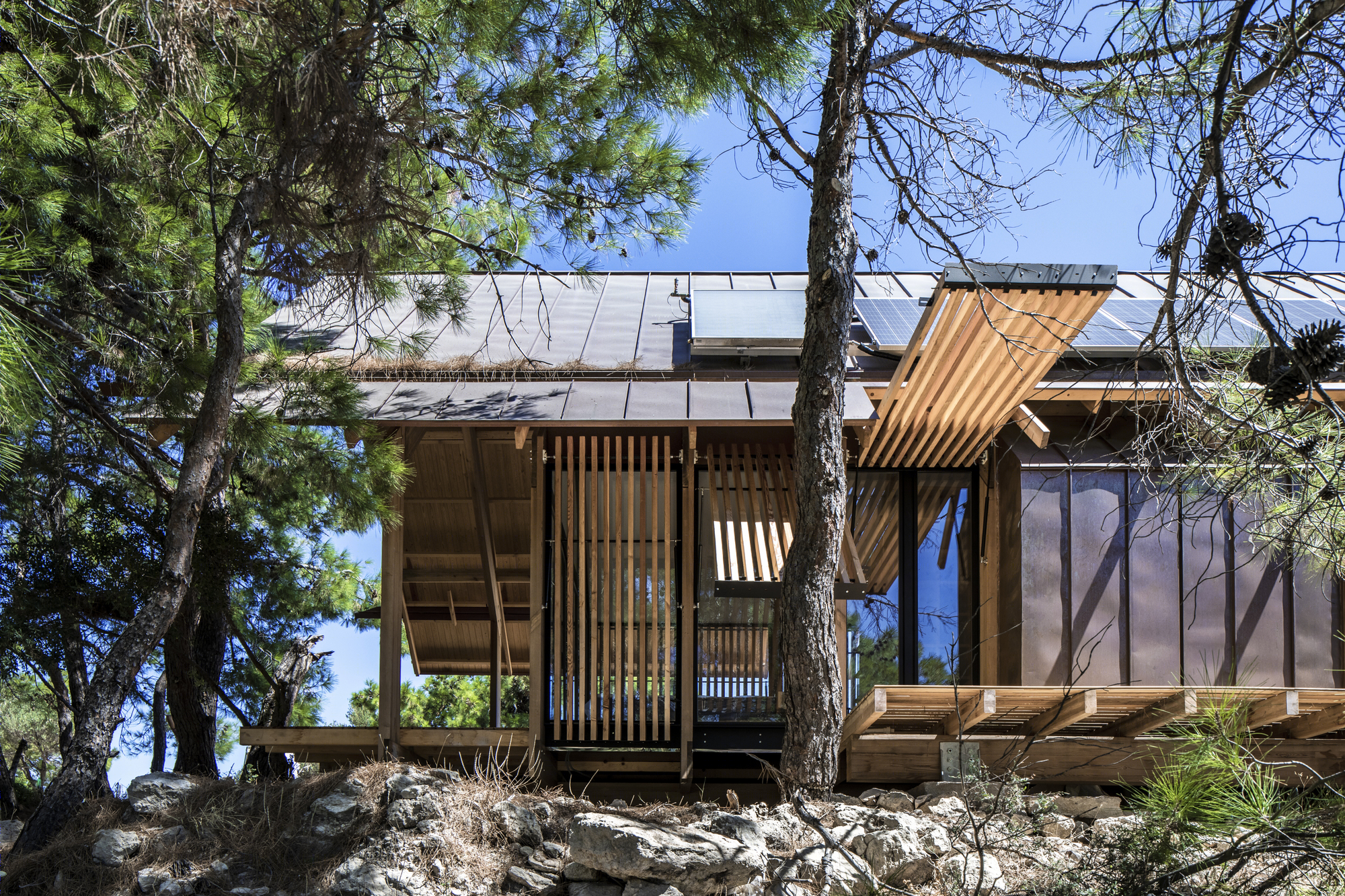 MU50 · 与自然共生-17