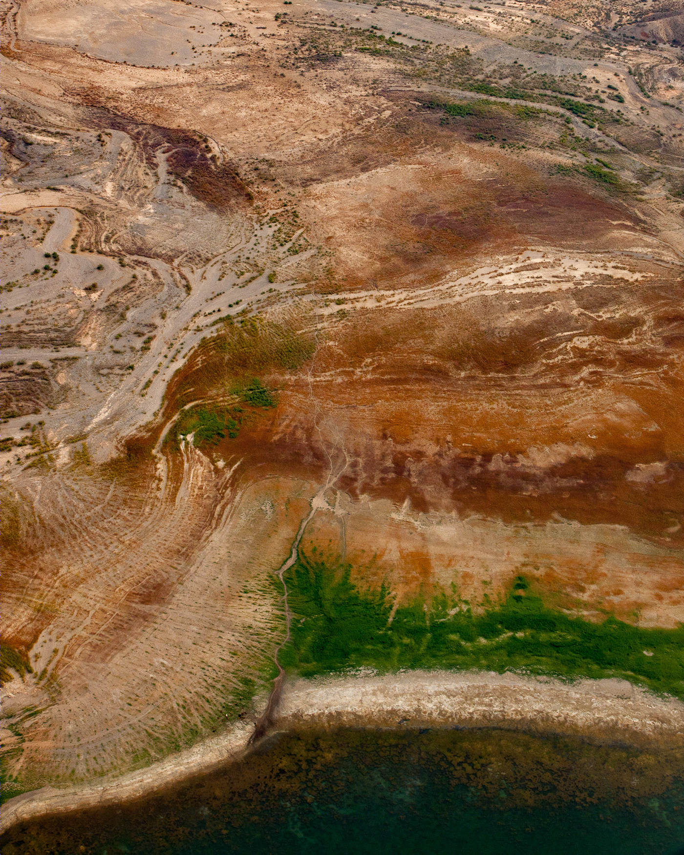 内华达二世 照片墙-15