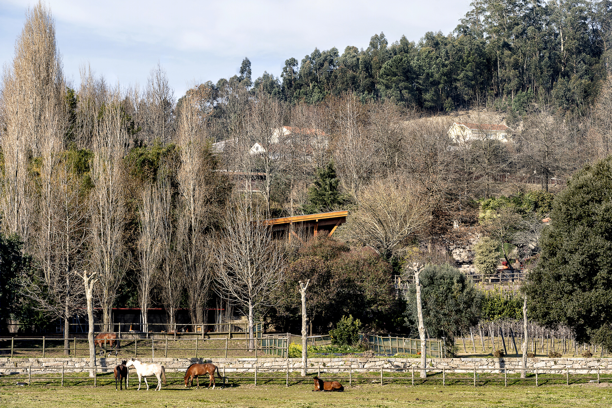 葡萄牙 MG Coudelaria Stud Farm 自然共生马场设计-23