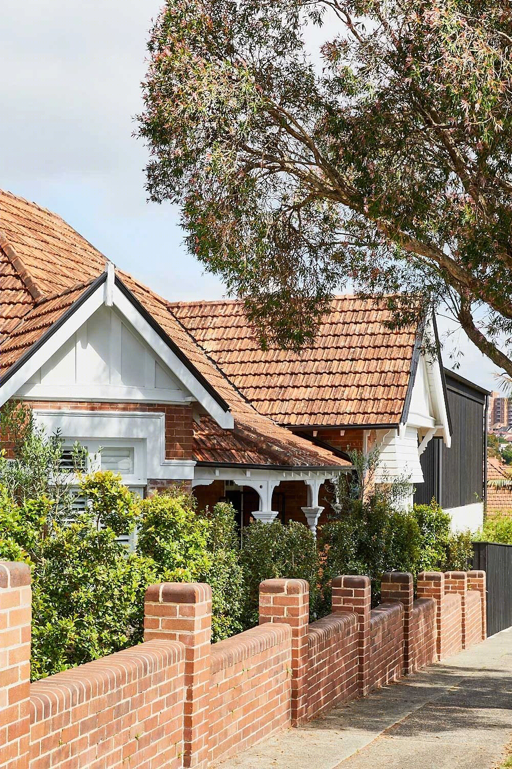 Carthona House | 悉尼 Mosman 联邦风格别墅的现代扩展-3
