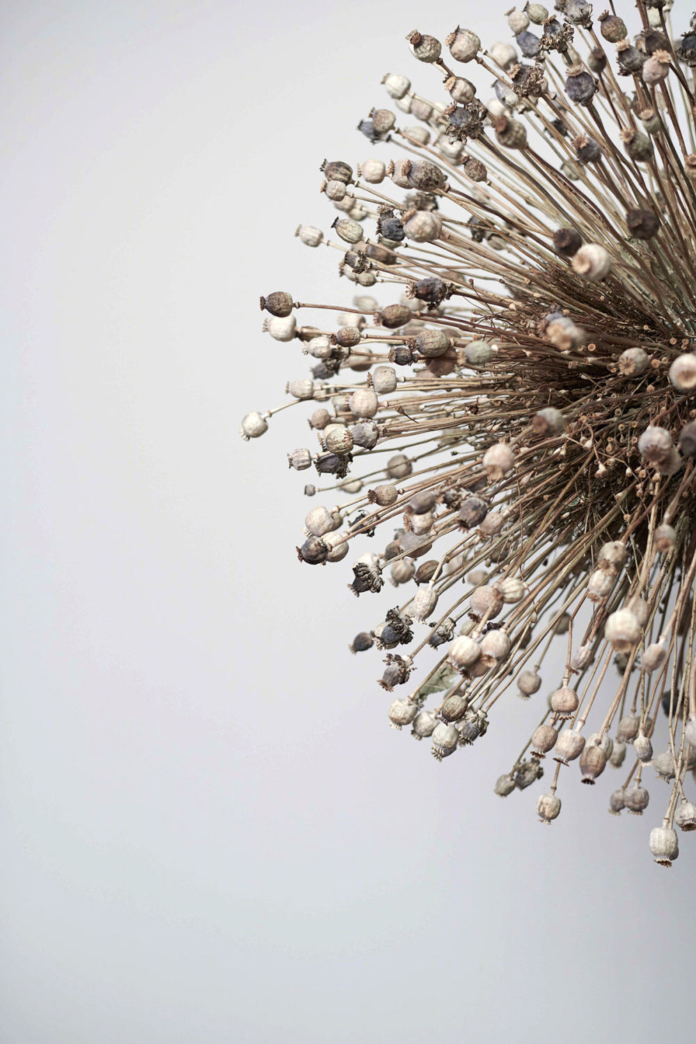 UNA 系列可变花瓶-8