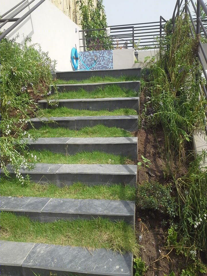 生态海滩别墅（Eco Beach Villa）-34