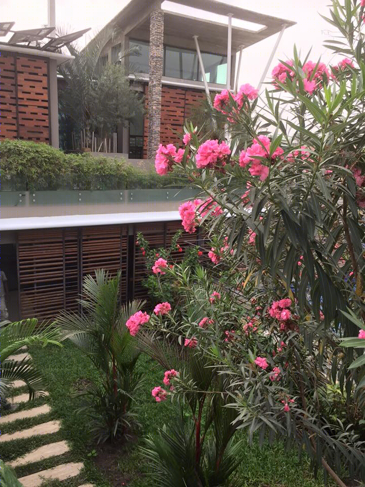 生态海滩别墅（Eco Beach Villa）-41