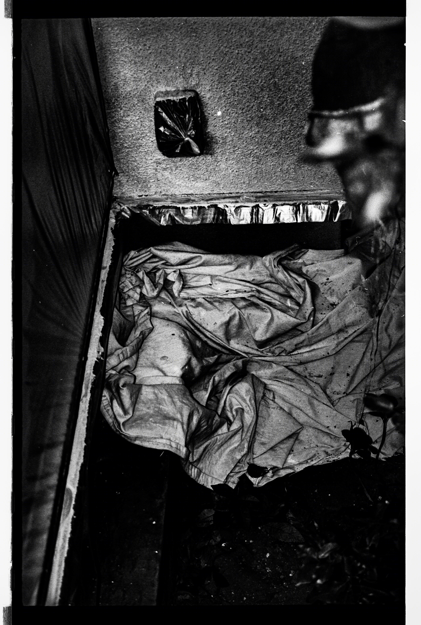 Home  series-6