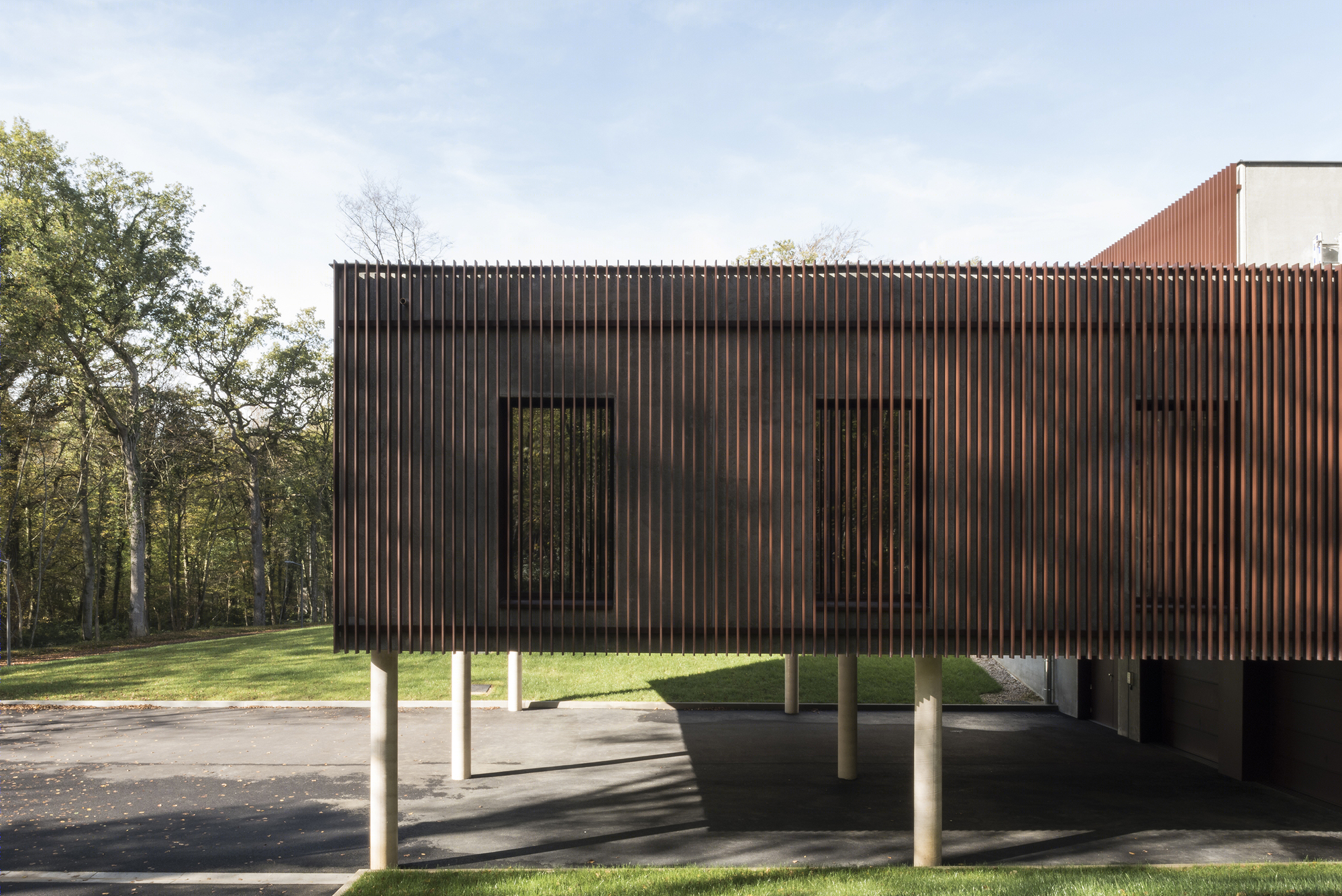 落叶林中的皮肤病实验室-15