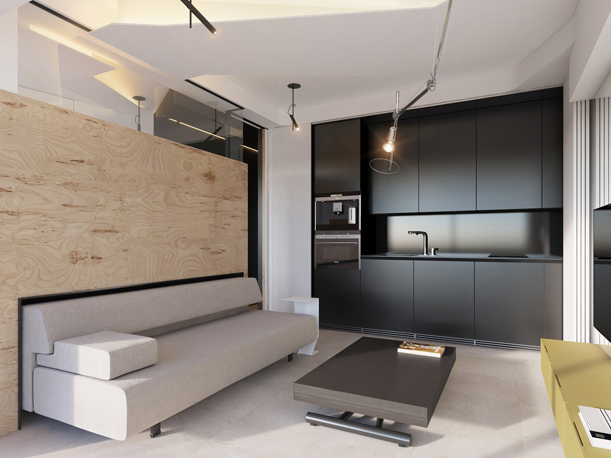 26m² 摩纳哥 Monaco Studio 工作室  Vlad Mishin-4