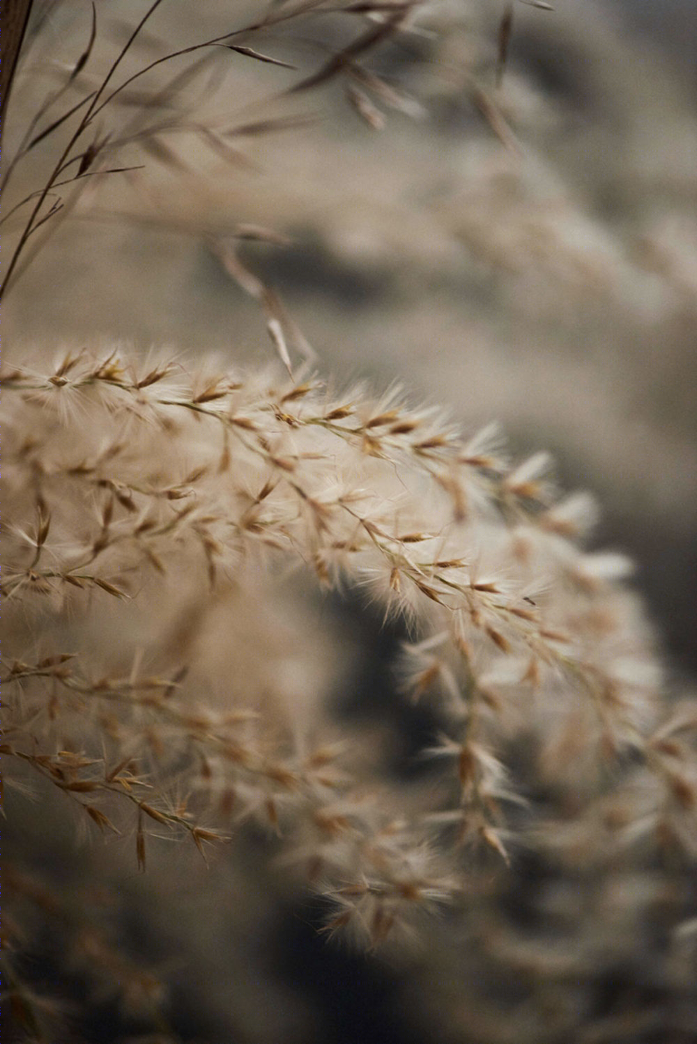 UNA 系列可变花瓶-16