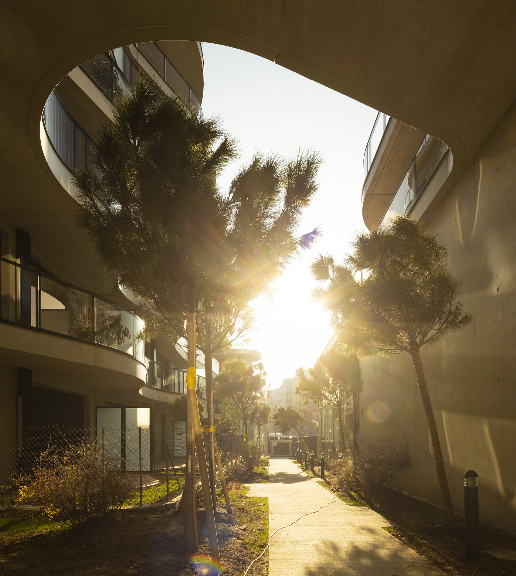 Courbes 公寓楼丨德国科隆丨Christophe Rousselle Architecte-64