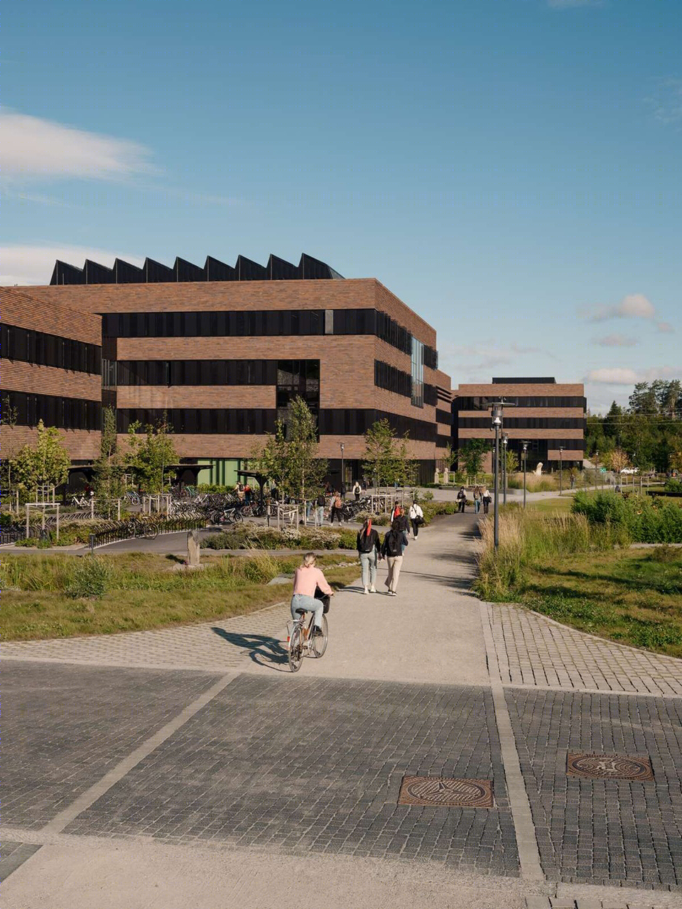 奥斯兽医大楼丨挪威丨Henning Larsen-21