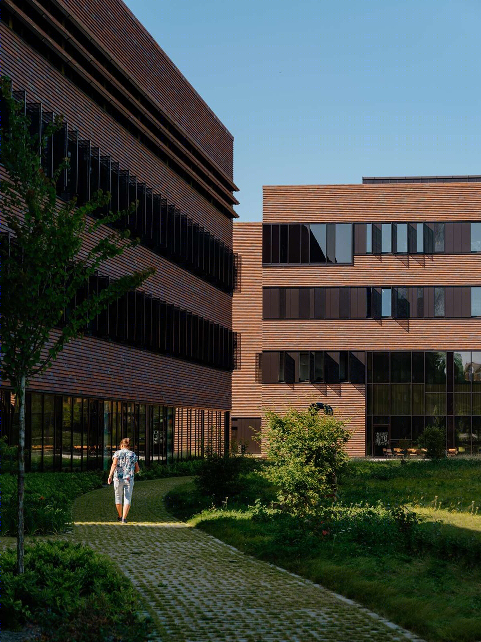 奥斯兽医大楼丨挪威丨Henning Larsen-23