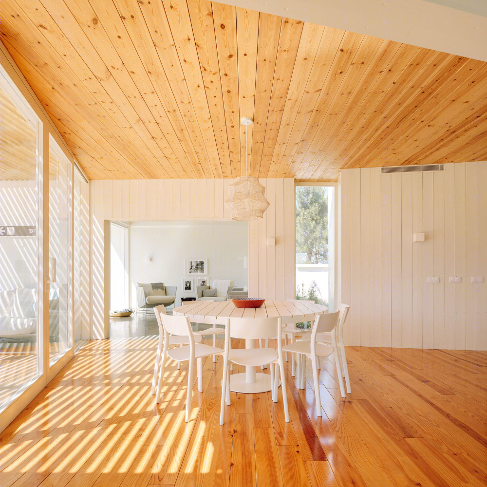 葡萄牙沙丘上的“木盒子”家园-14