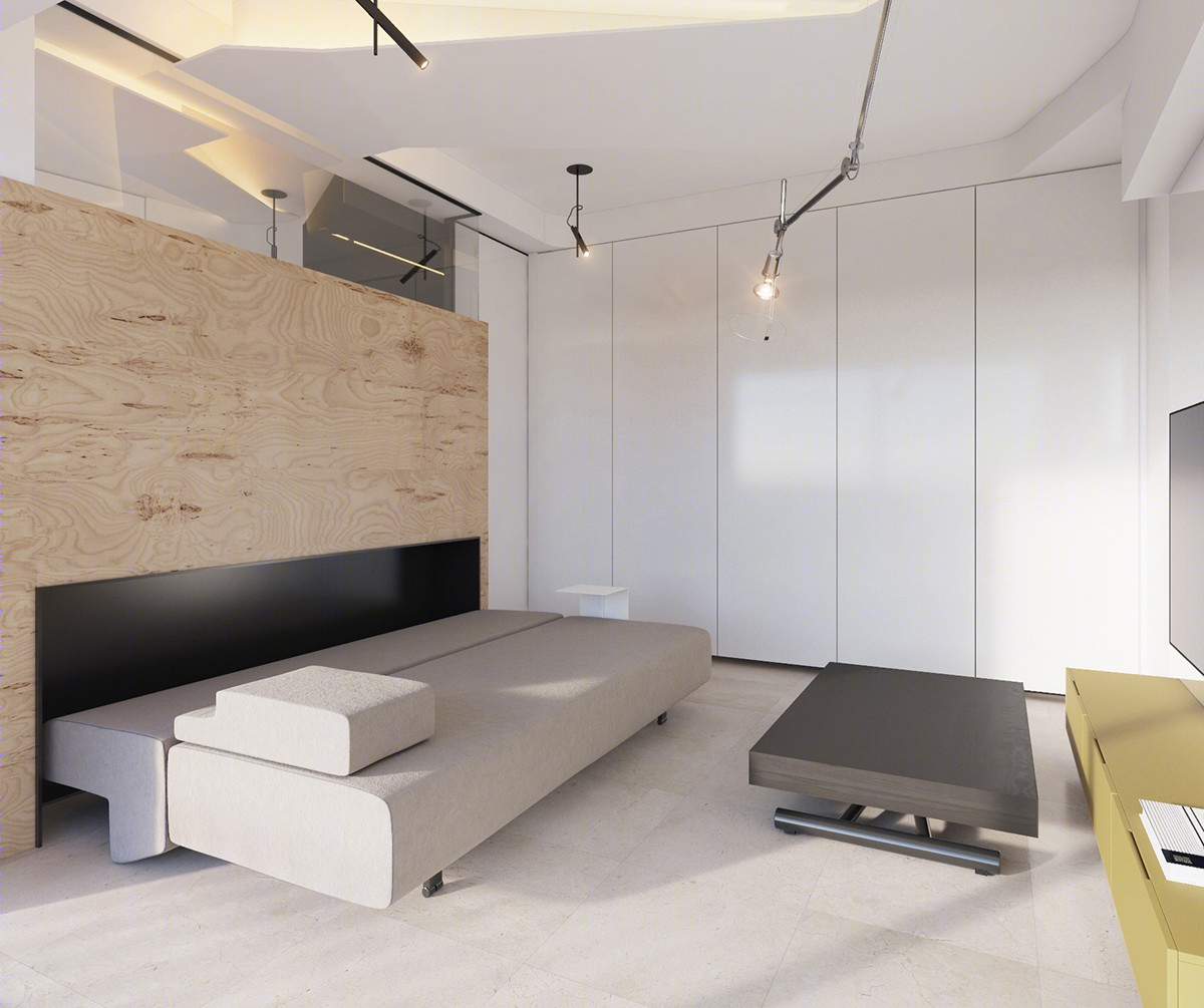 26m² 摩纳哥 Monaco Studio 工作室  Vlad Mishin-6