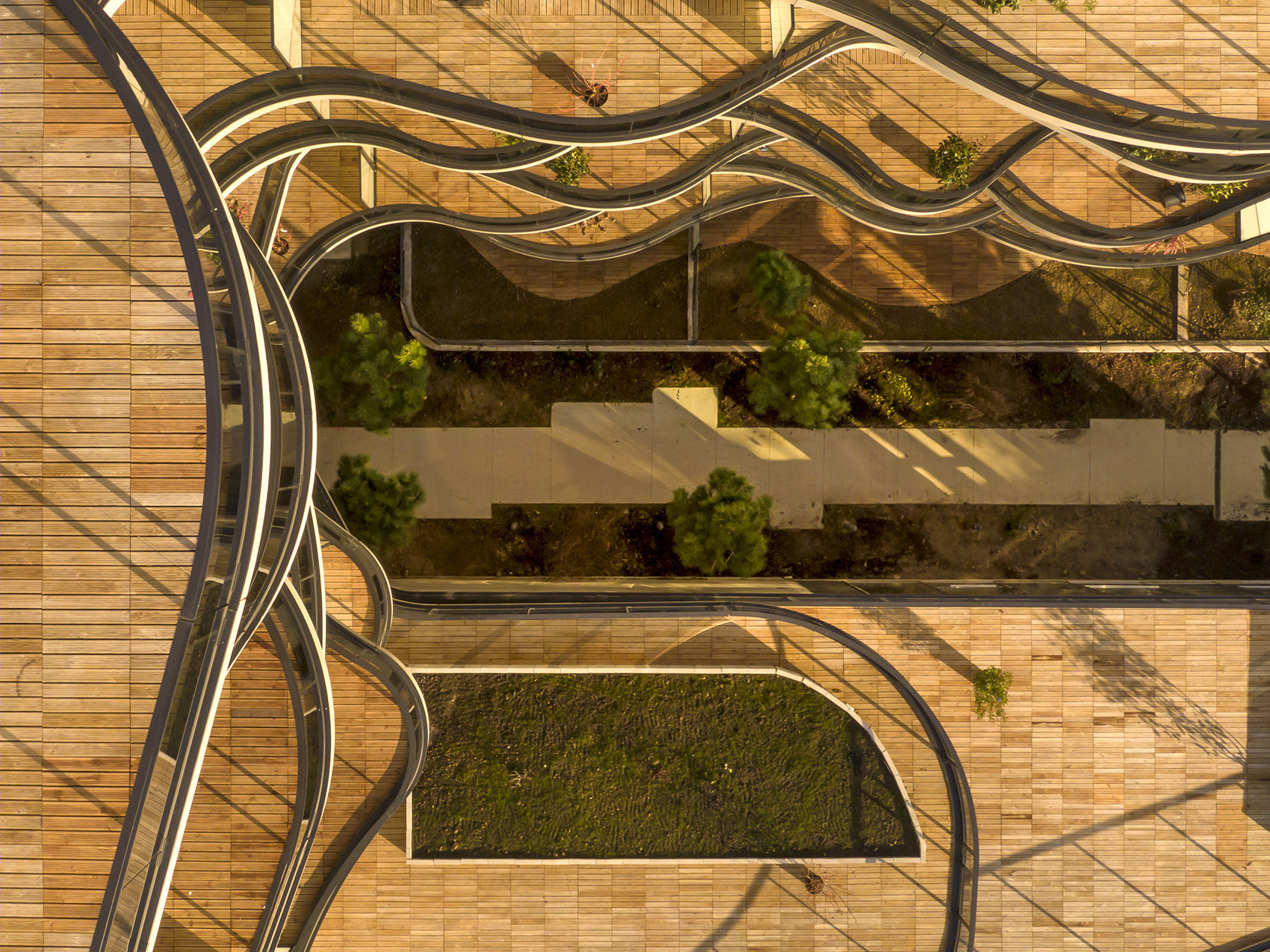 Courbes 公寓楼丨德国科隆丨Christophe Rousselle Architecte-65