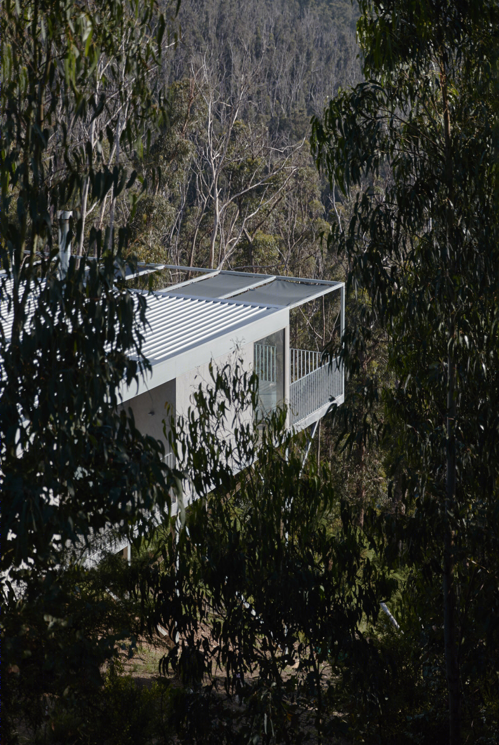 澳大利亚 Wye River 云中宅丨Chris Connell Design-24