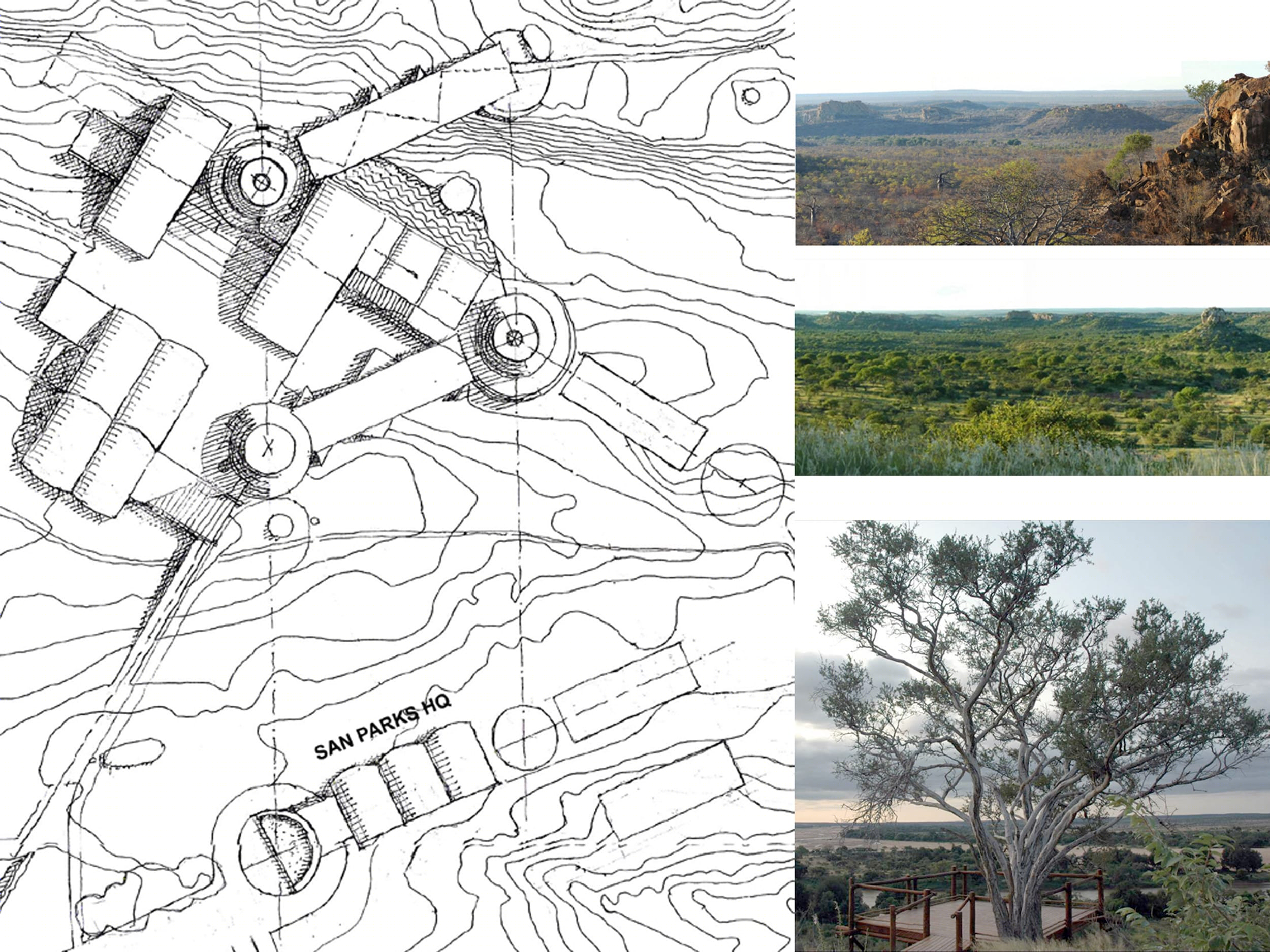 南非马蓬古布韦国家公园演绎中心丨Light Earth Designs-23