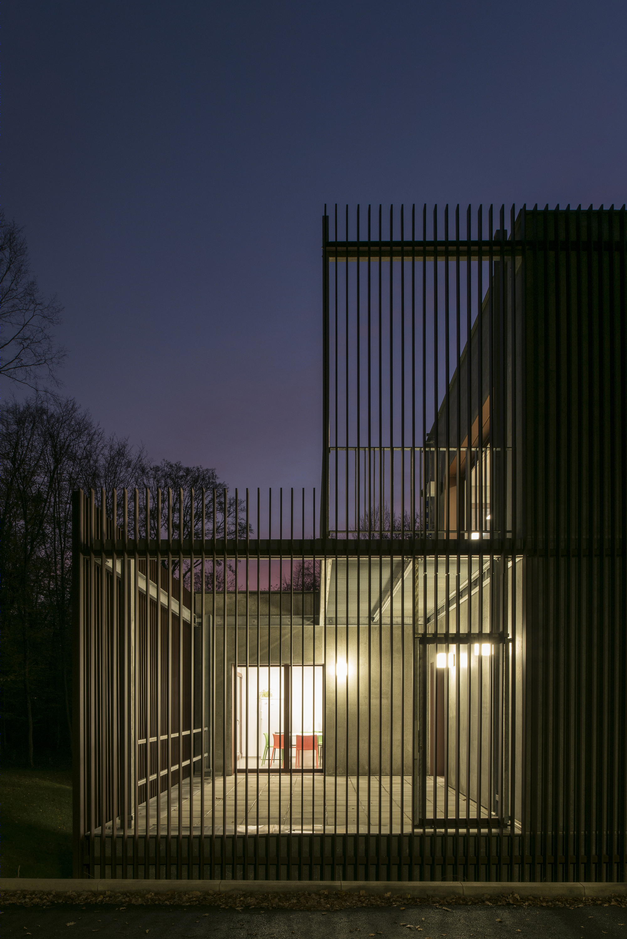 落叶林中的皮肤病实验室-18