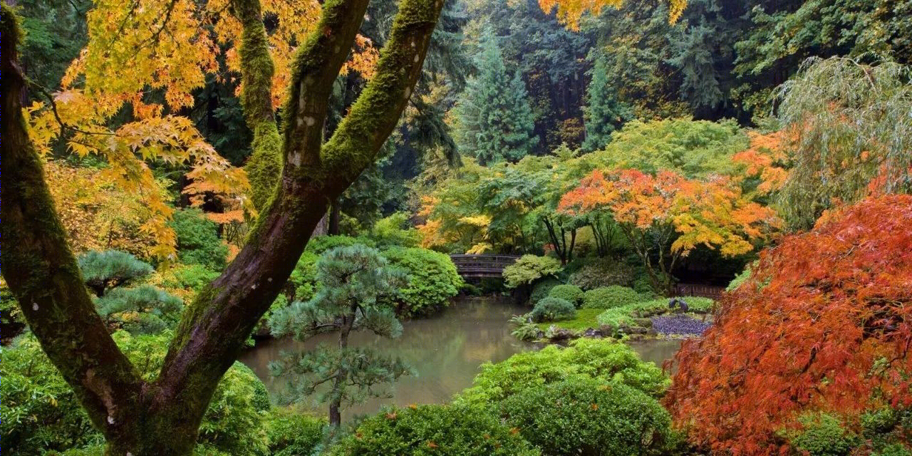 波特兰日本花园文化村-3