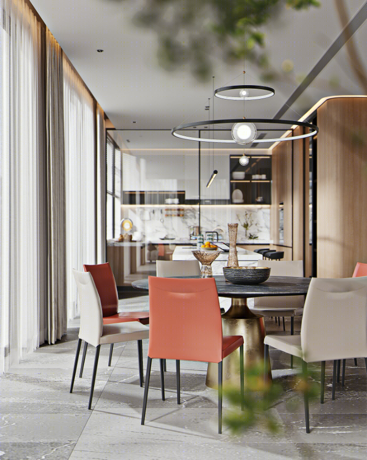 现代风大宅的优雅艺术-11