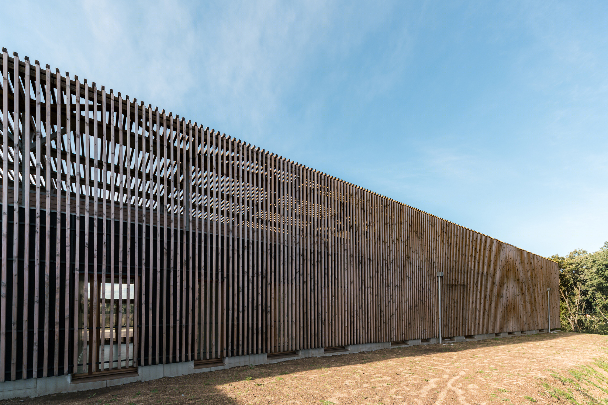 Strega 学校 | 绿意盎然的自然共生建筑-3