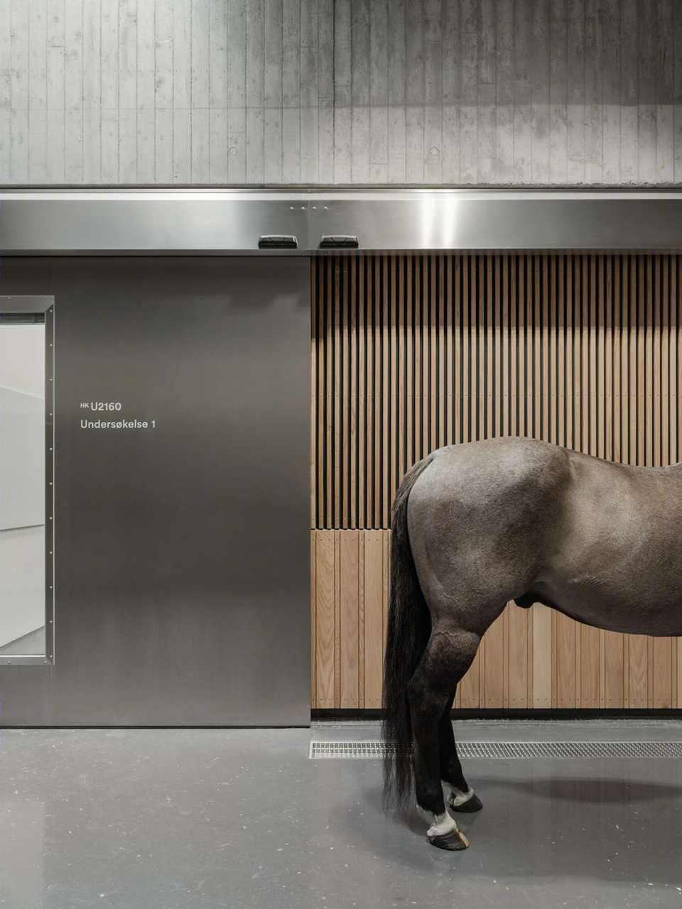 奥斯兽医大楼丨挪威丨Henning Larsen-43