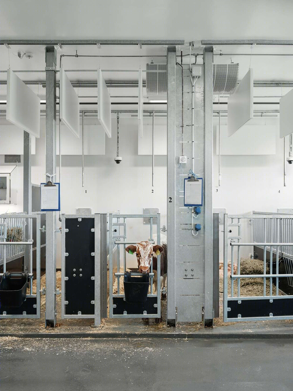 奥斯兽医大楼丨挪威丨Henning Larsen-45