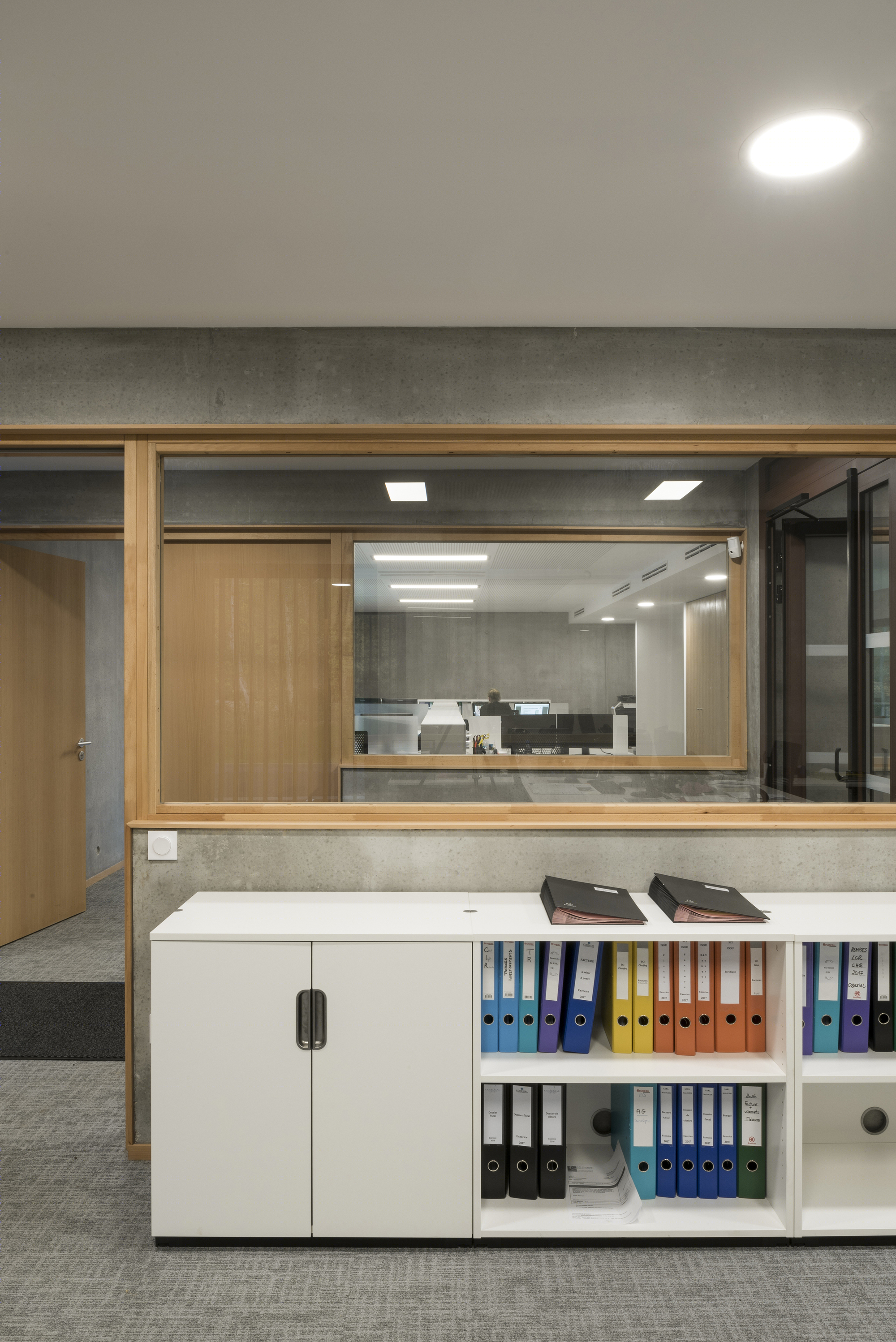 落叶林中的皮肤病实验室-20