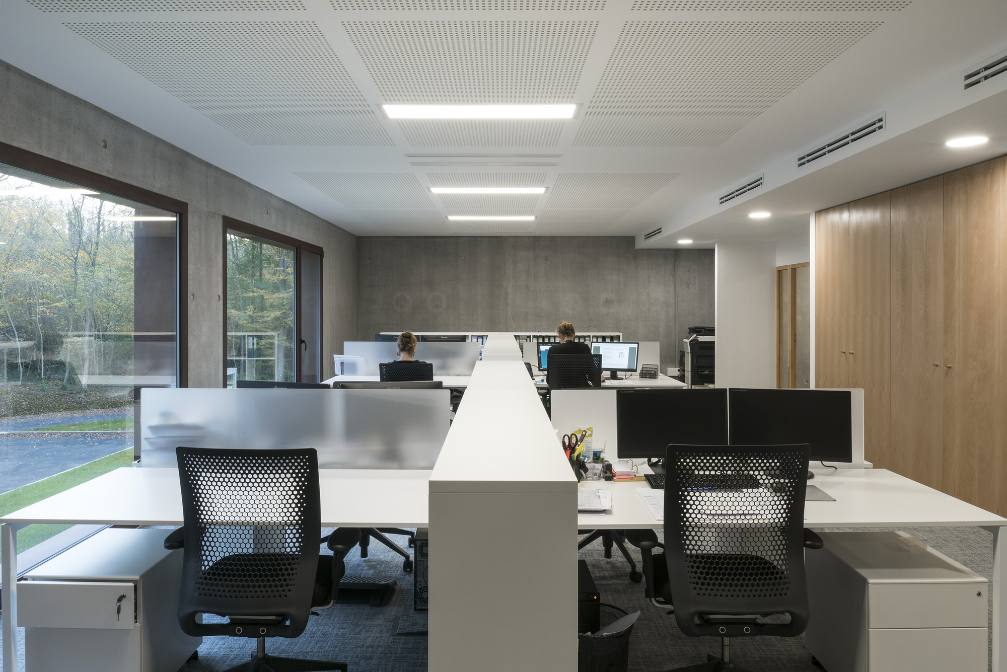 落叶林中的皮肤病实验室-21