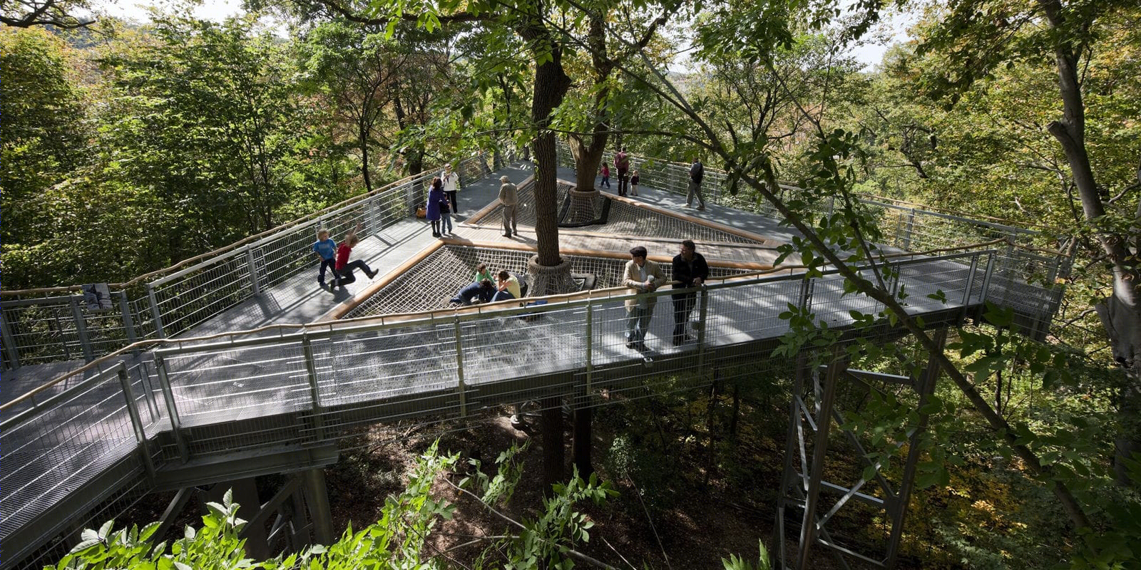 莫里斯植物园树梢装置丨Metcalfe Architecture & Design-2