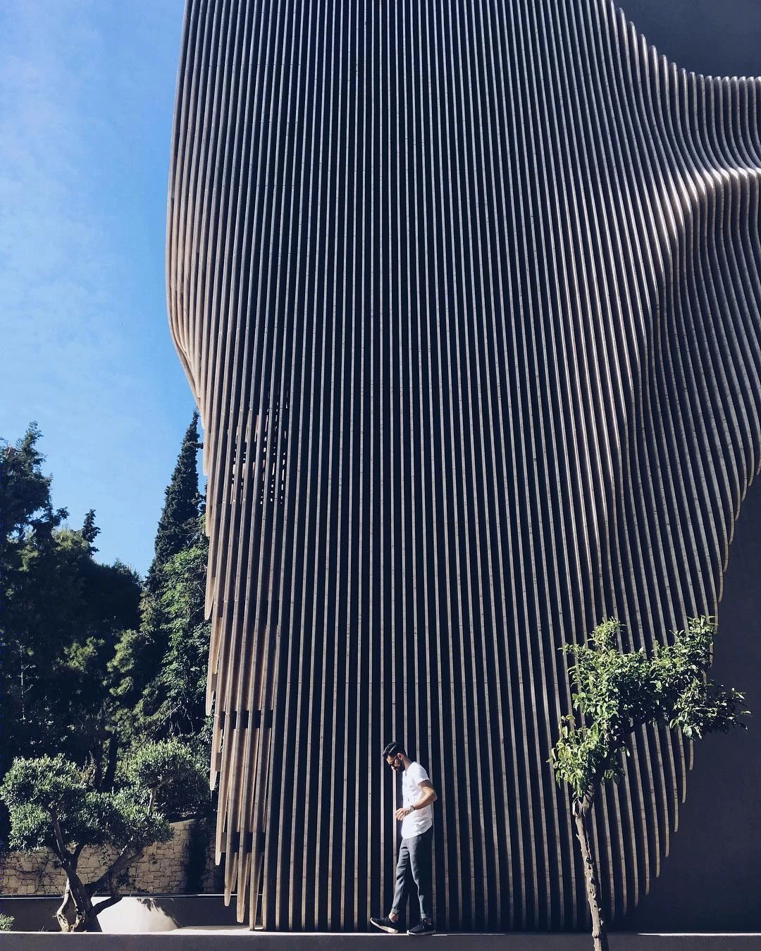 一个克莱奥梅诺斯-2