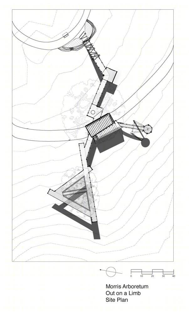 莫里斯植物园树梢装置丨Metcalfe Architecture & Design-3